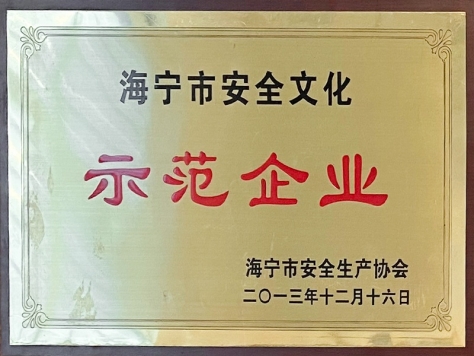 2013年度海宁市清静文化树模企业